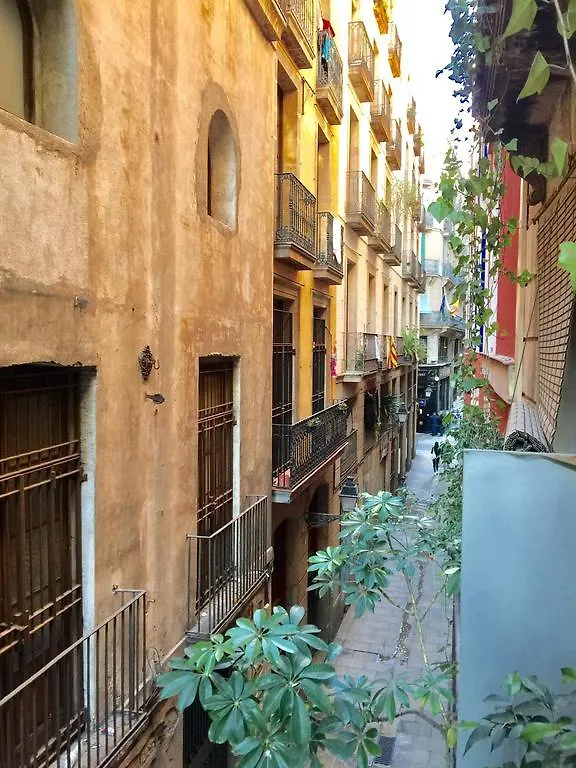 Calma House Rooms Barcelona